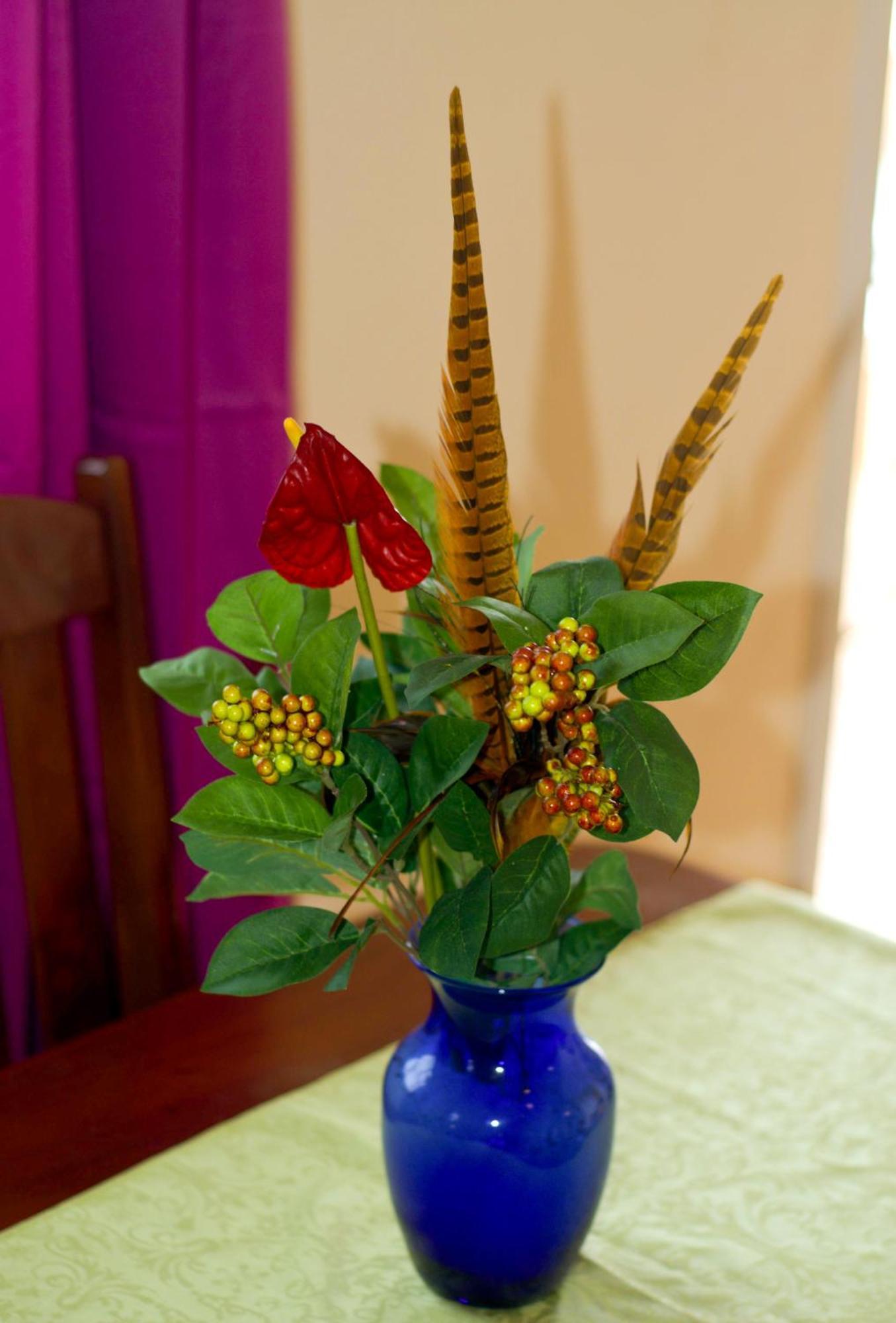 La Heliconia & Day Spa St. George's Eksteriør bilde